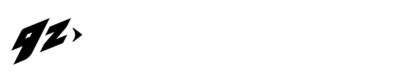 Logo 9z